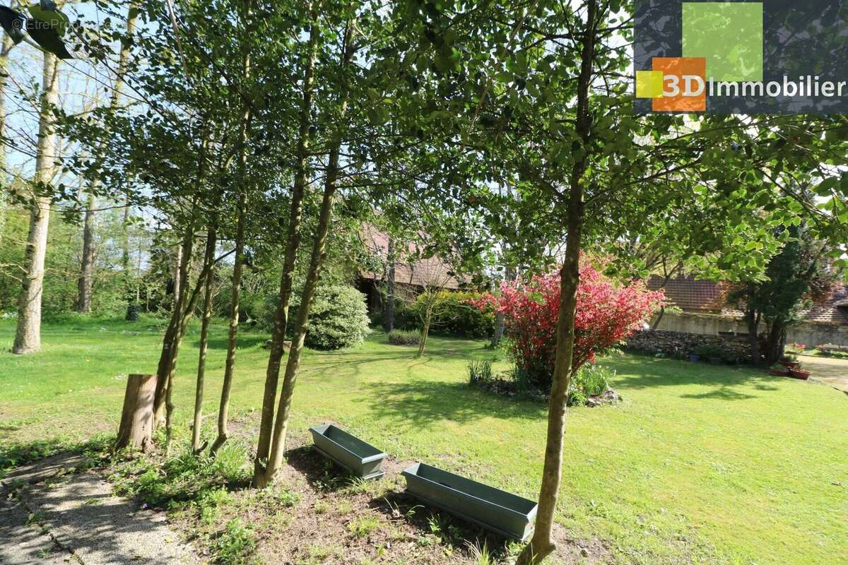 Photo 9 - Maison à PIERRE-DE-BRESSE