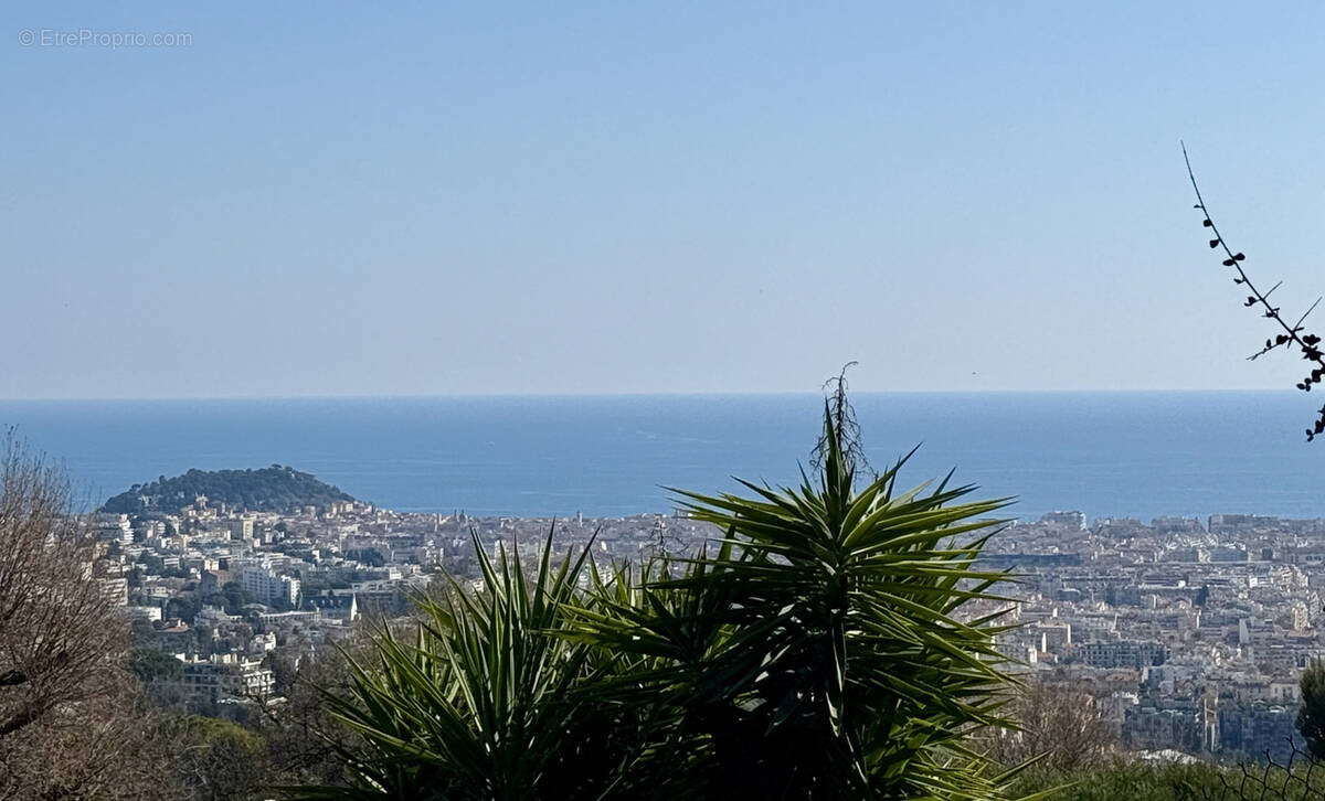 Terrain à NICE