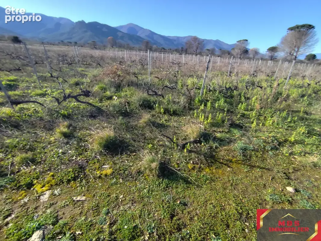 Saint-André - Terrain agricole de 18000 m2 - photo 2