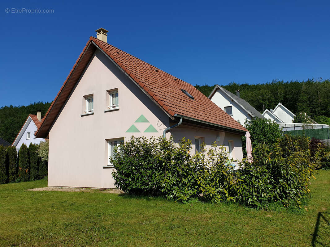 Durlinsdorf maison 5 pièces - photo 3