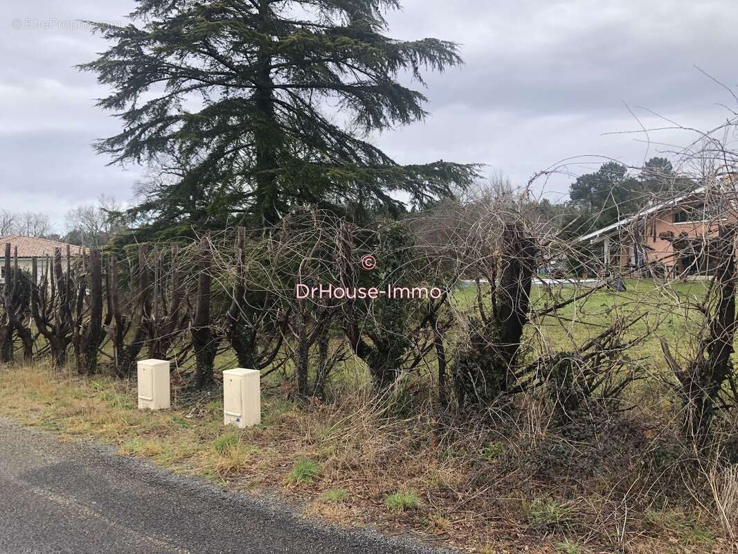 Terrain à PARENTIS-EN-BORN