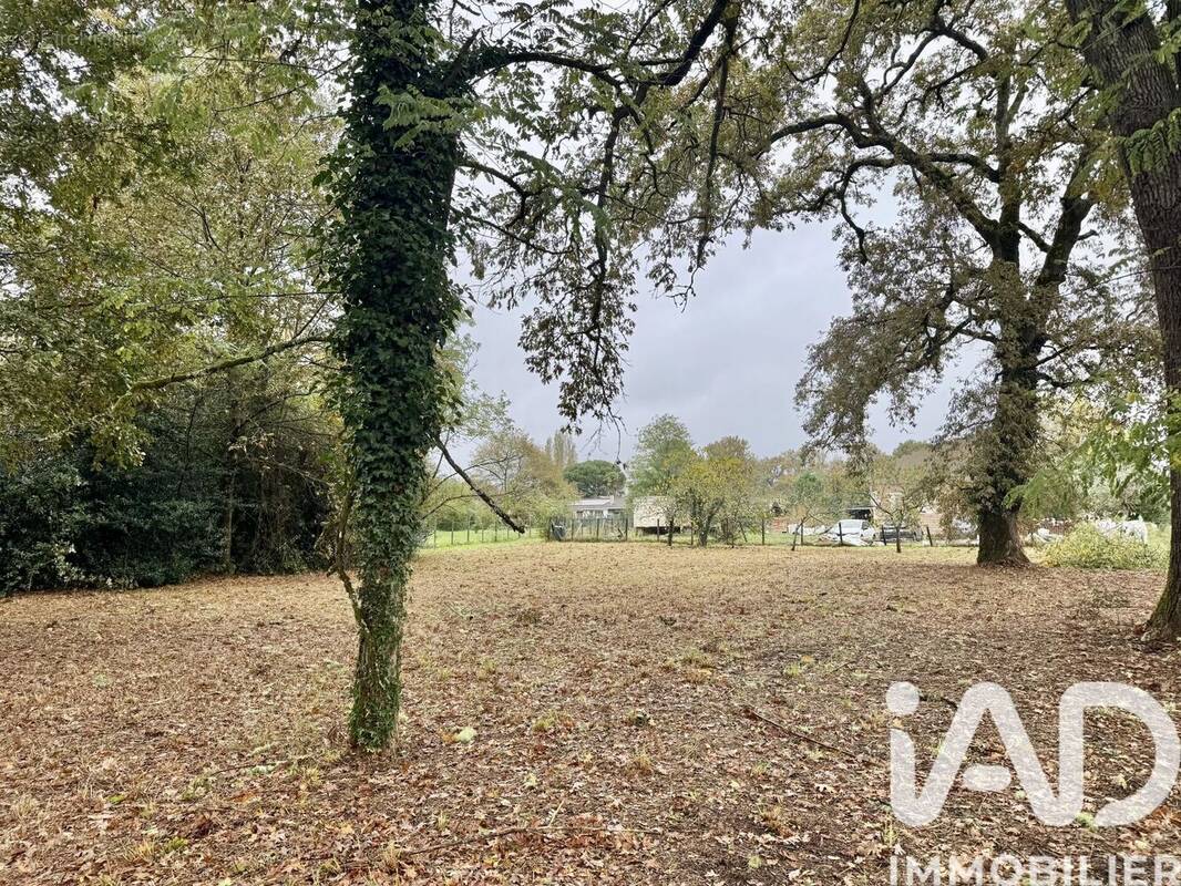 Photo 1 - Terrain à LOUCHATS