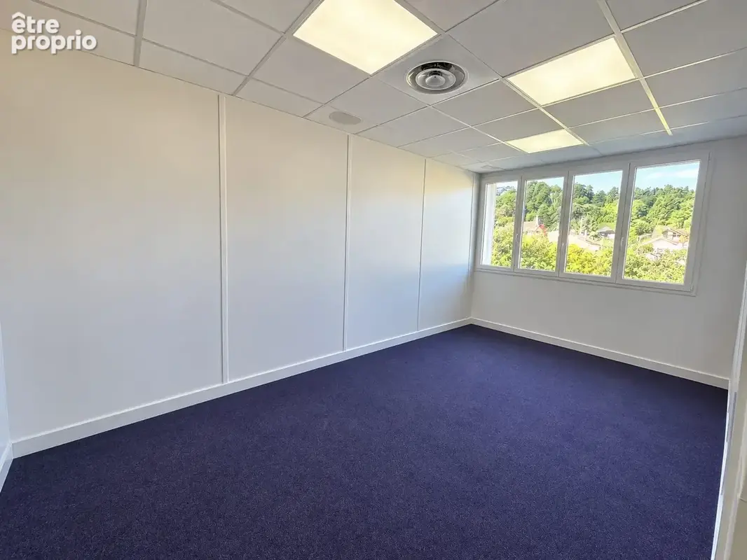 Commerce 550 m² à vendre à Collonges-Au-Mont-D'or (69660) - photo 9
