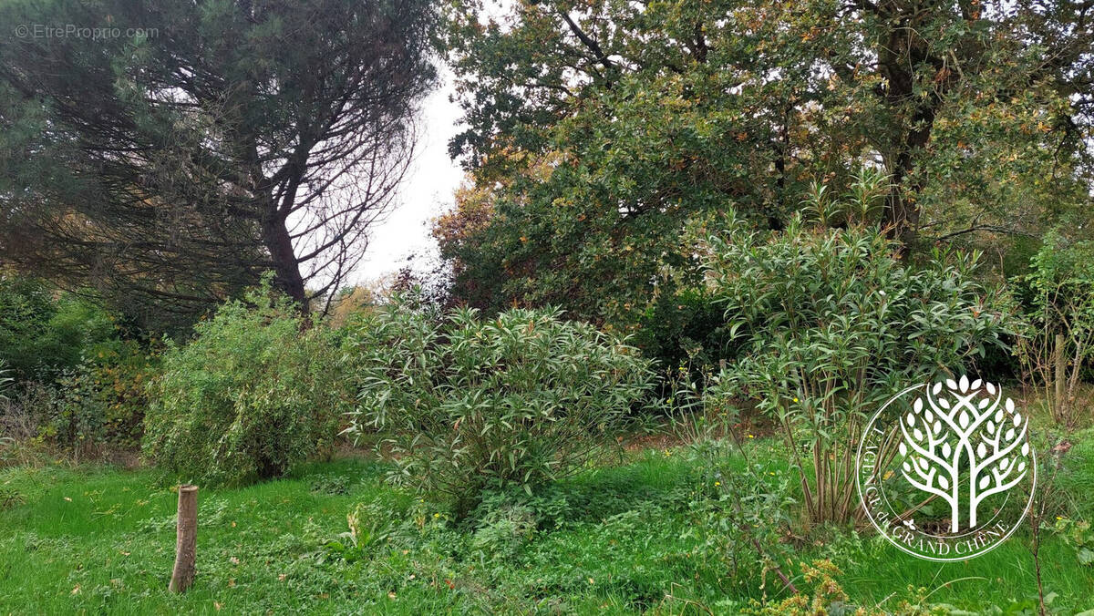 Terrain à VERGEROUX