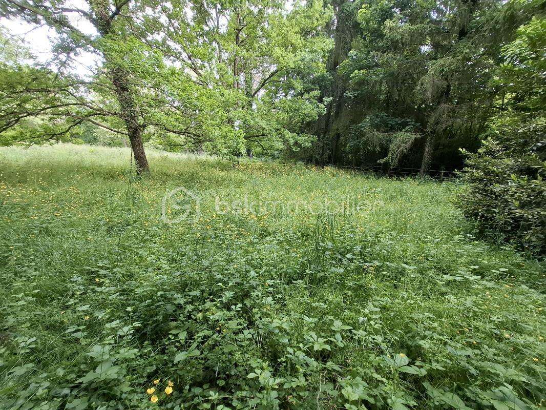 Maison à MARAYE-EN-OTHE