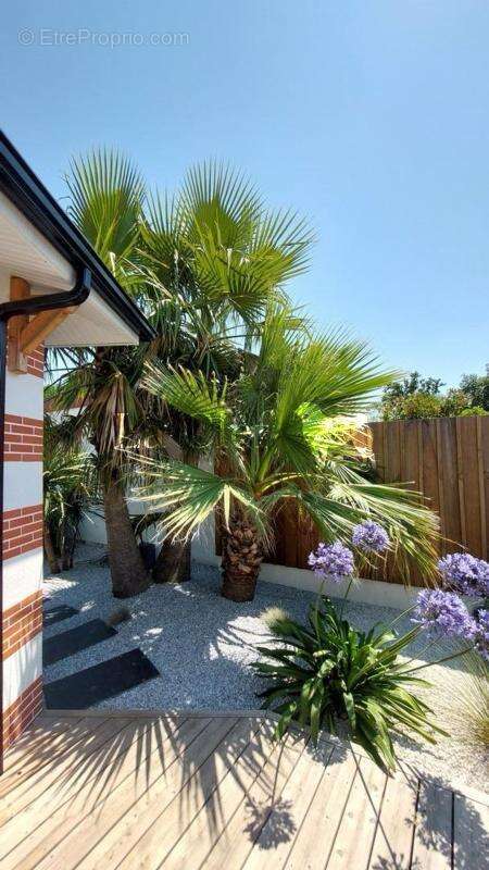 Gujan-mestras villa plain-pieds 147m² garage piscine - photo 10
