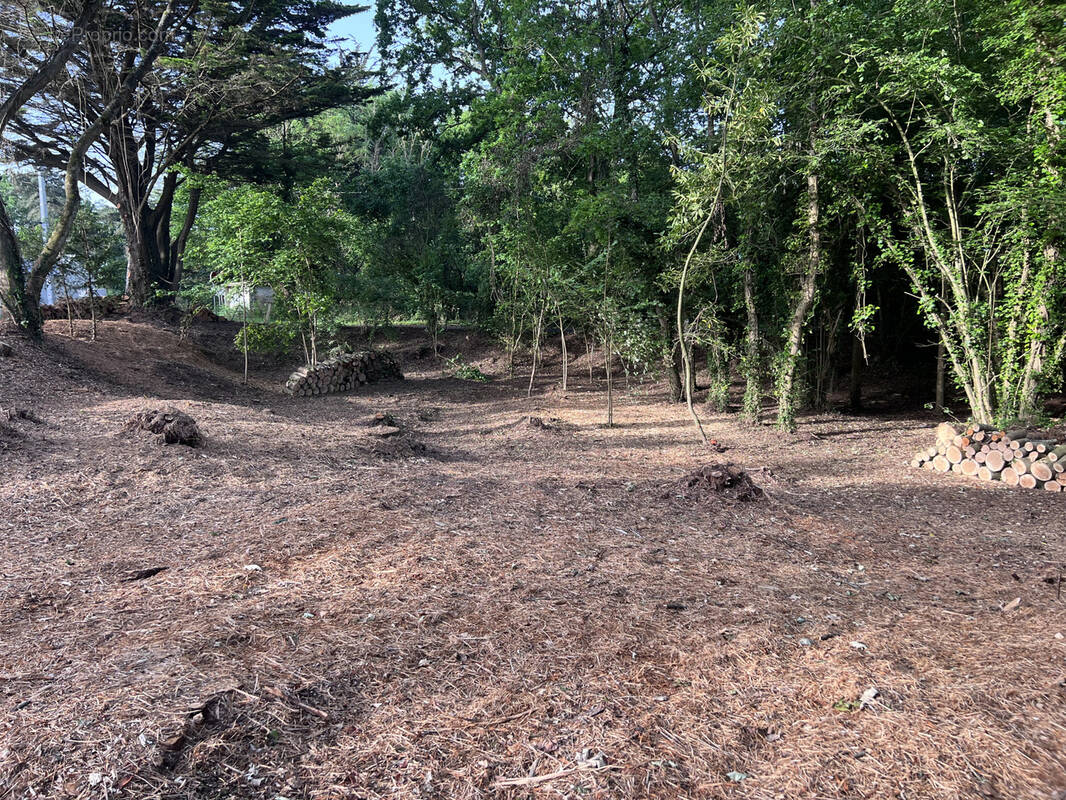 Terrain à LA BOUILLIE