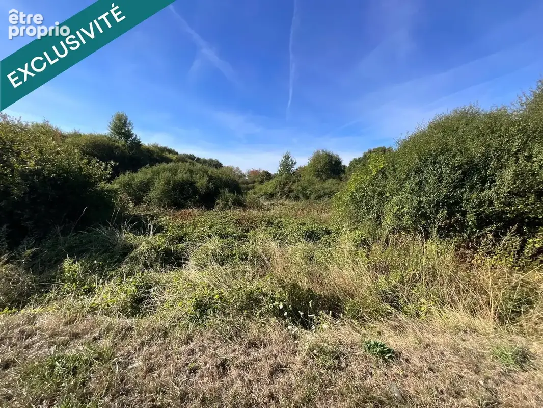 Photo 1 - Terrain à VIGNOUX-SUR-BARANGEON