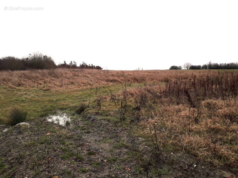 Terrain à FAREBERSVILLER