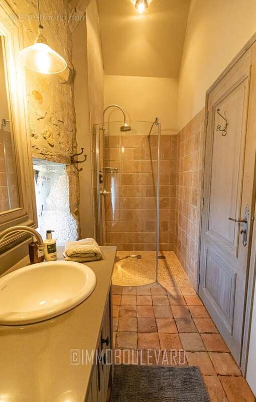 À vendre, Maison de charme à Boussac (23) vue château - photo 23