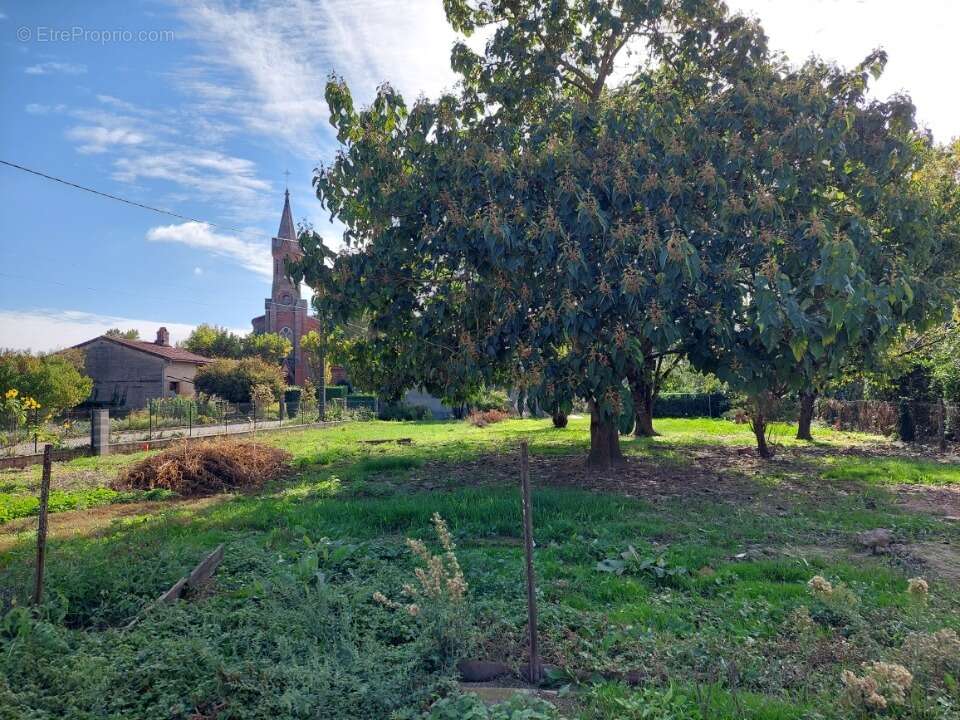 Terrain à MIREPOIX-SUR-TARN