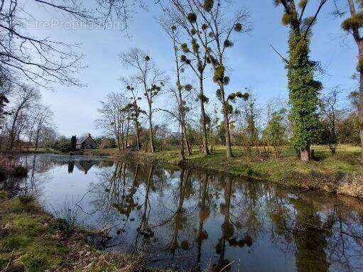 Maison à HUDIMESNIL