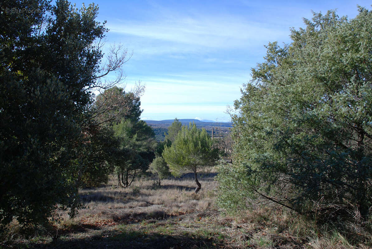 Terrain à BAUDINARD-SUR-VERDON