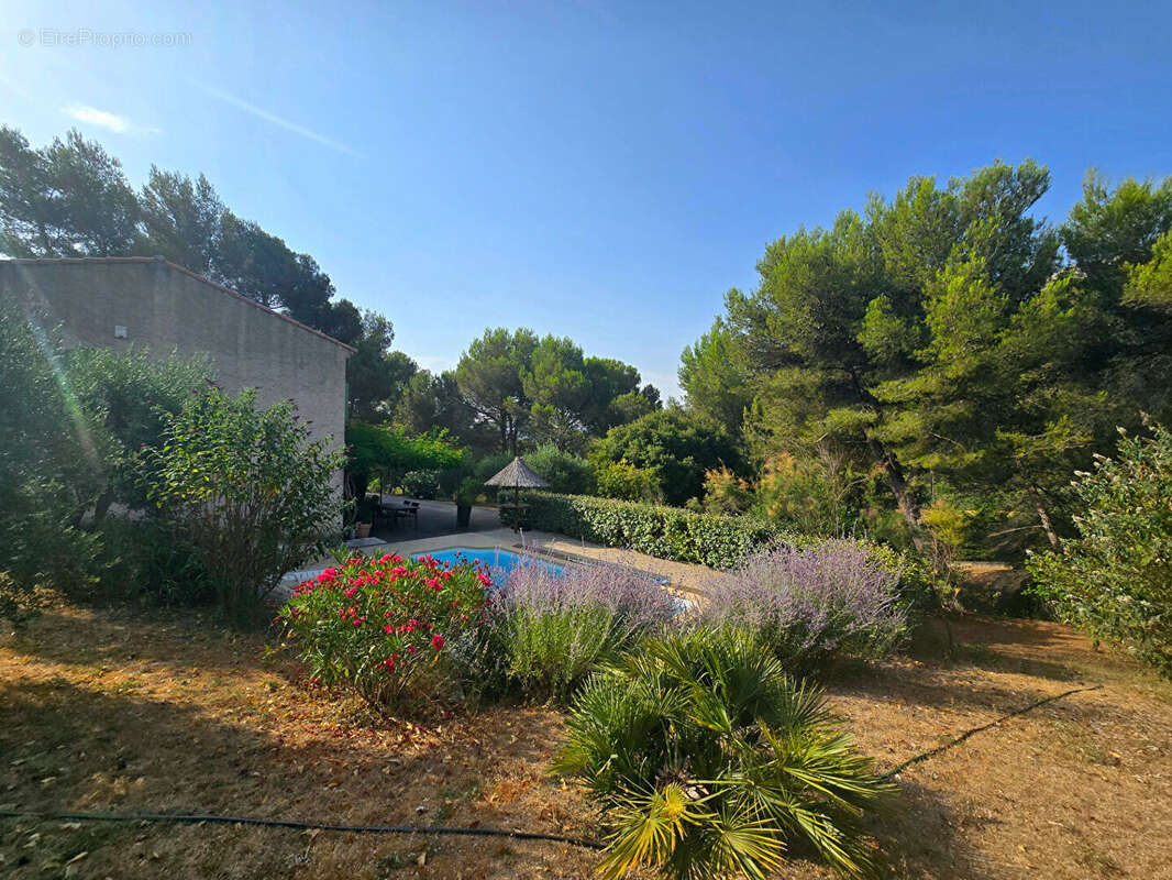 CADOLIVE - Villa T4 + cabanon aménagé de 35m² s/5000m² - photo 11