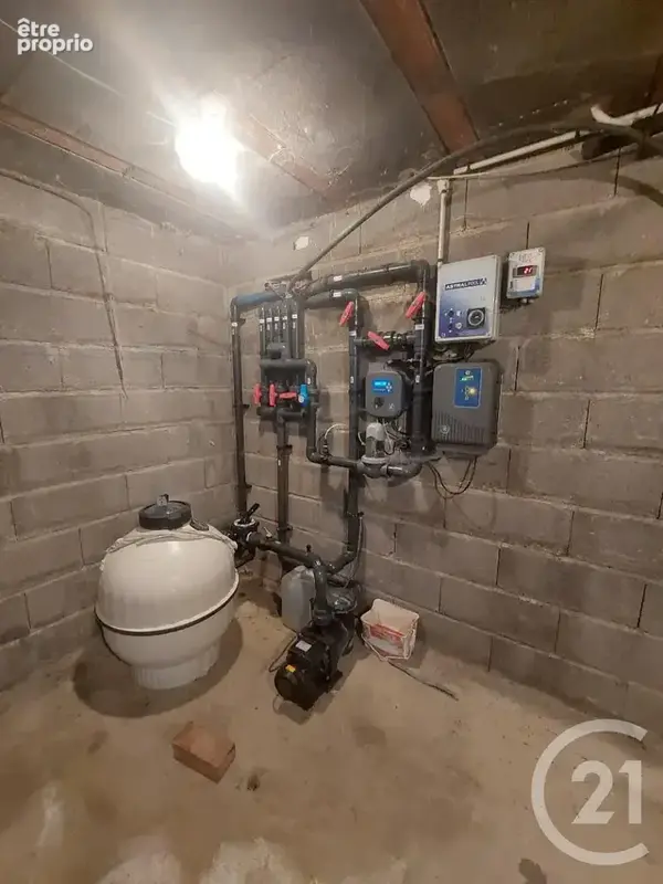 Maison 219 m² à Etais-La-Sauvin  - photo 13