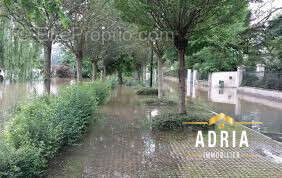 Appartement 50 m² à Cormeilles-En-Parisis  - photo 7