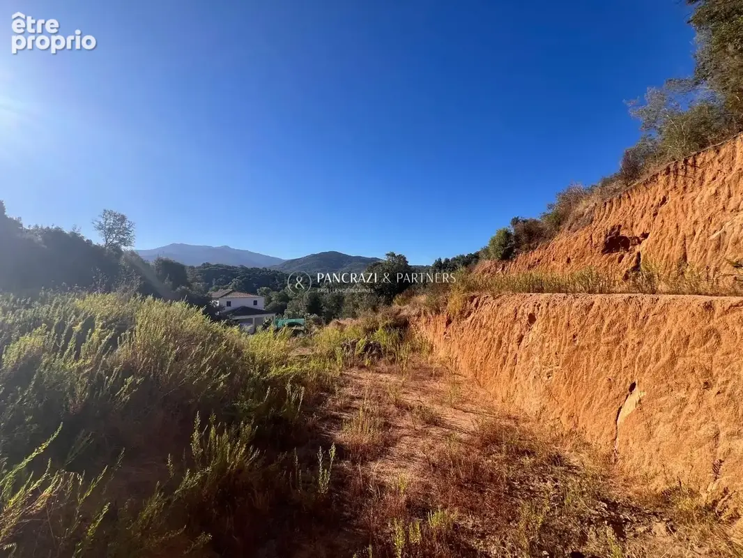 Terrain 1 387 m² à vendre à Bastelicaccia (20129) - photo 3