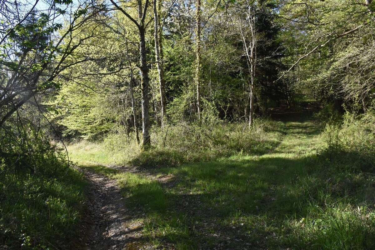 Exceptionnel !!! Ensemble immobilier sur 93 HA de terres avec ruisseau , sources ... - photo 3