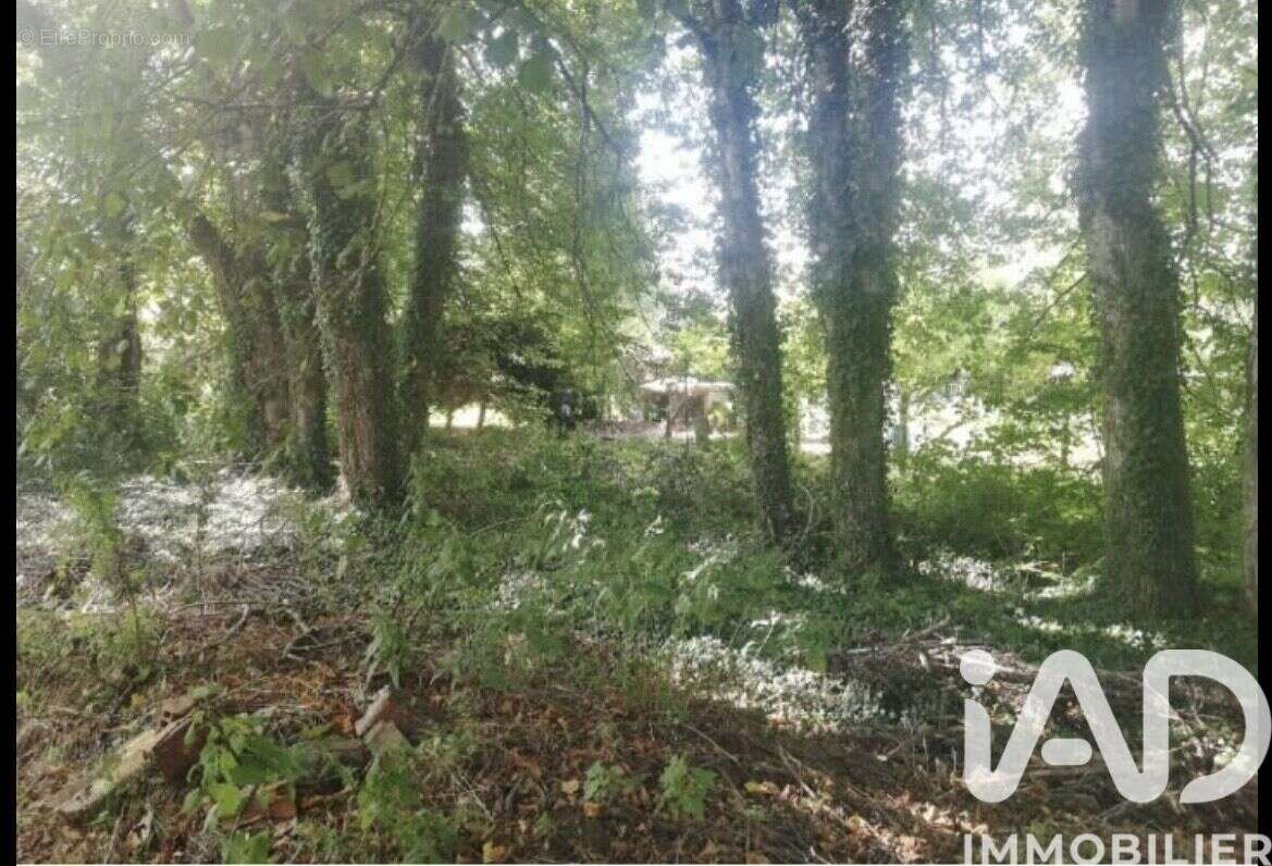 Photo 2 - Terrain à SAINT-PHAL