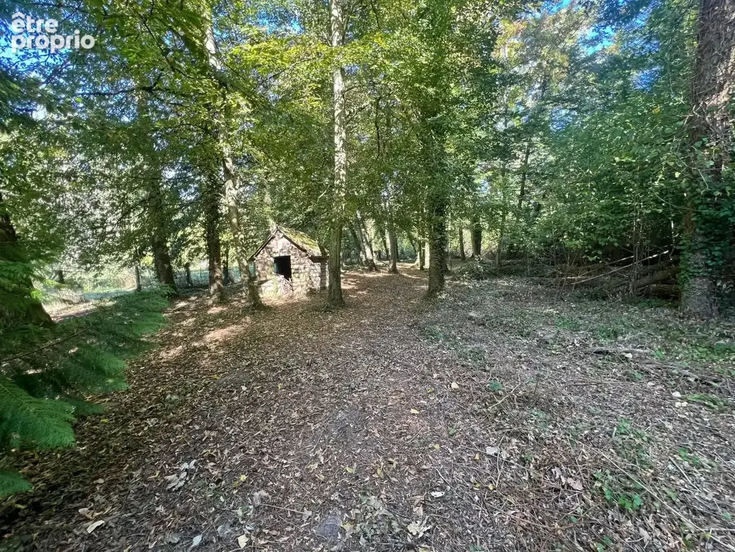 Maison familiale - photo 15