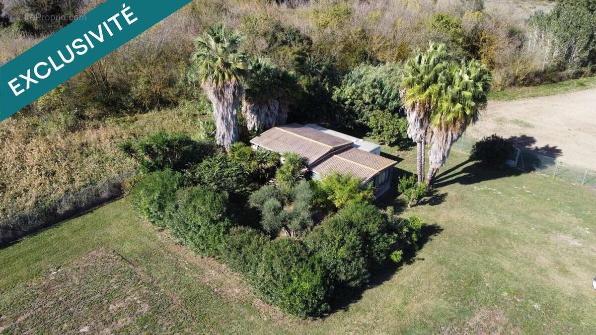 Photo 2 - Commerce à VILLELONGUE-DE-LA-SALANQUE