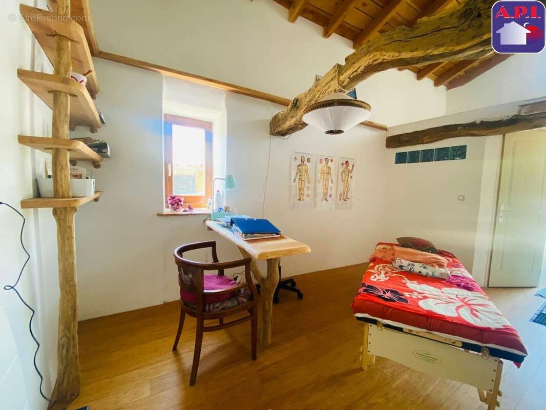 Maison 230 m² à Carla-Bayle  - photo 9