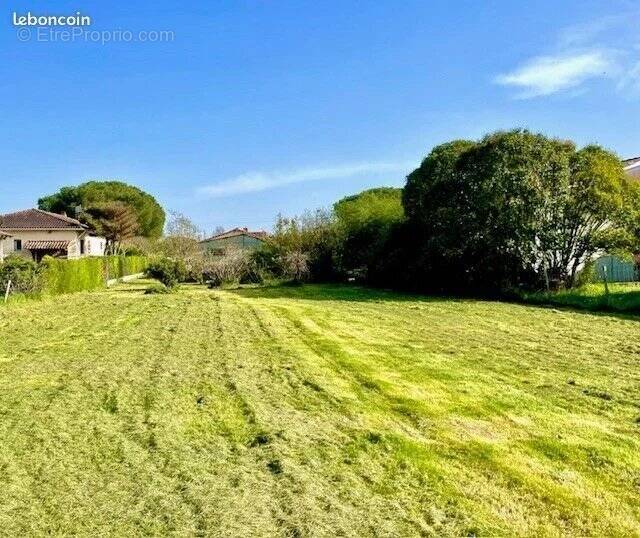 Terrain à PLAISANCE-DU-TOUCH