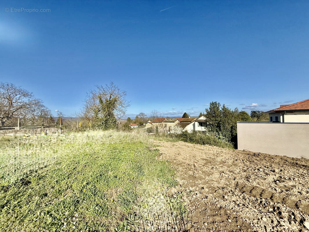 Terrain à SAINT-ALBAN-DE-ROCHE