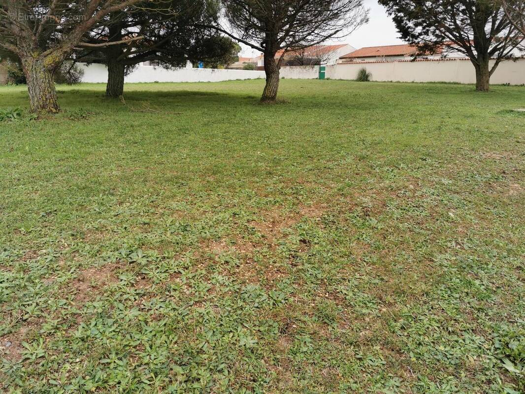 Terrain à SAINT-ROGATIEN