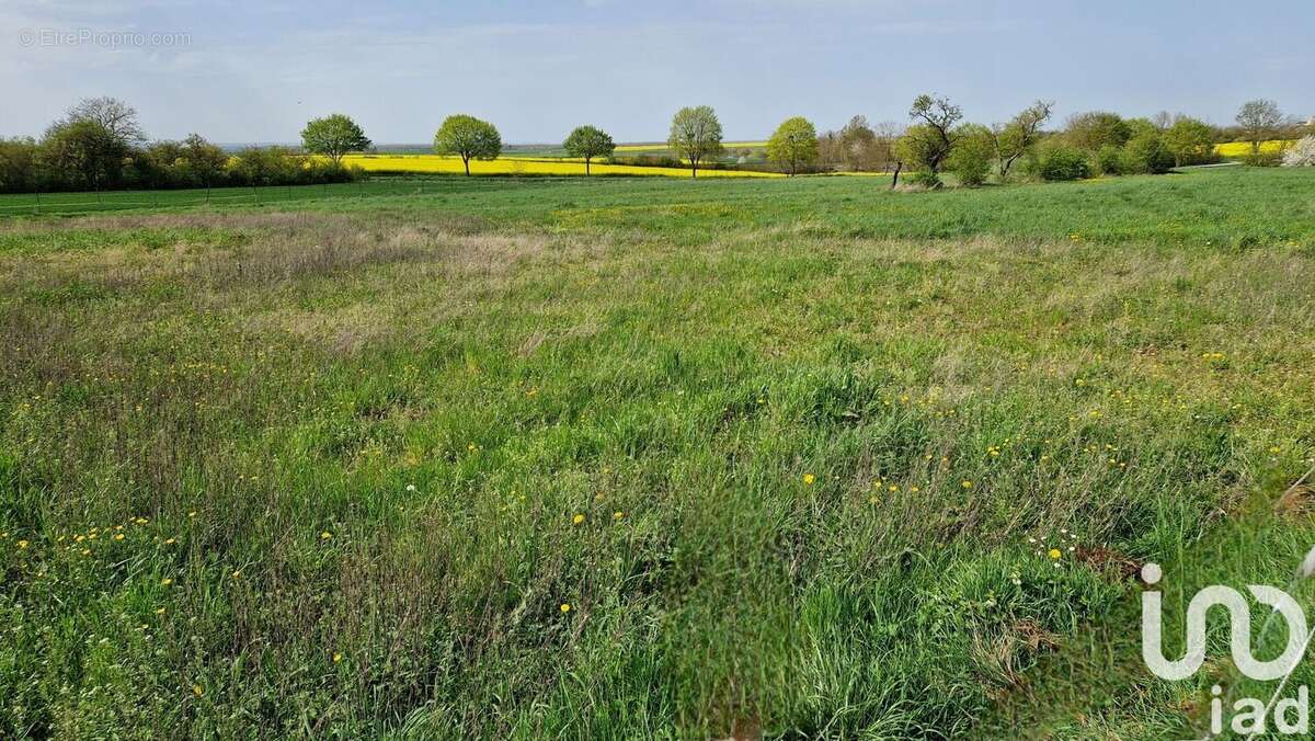 Photo 4 - Terrain à PUXIEUX