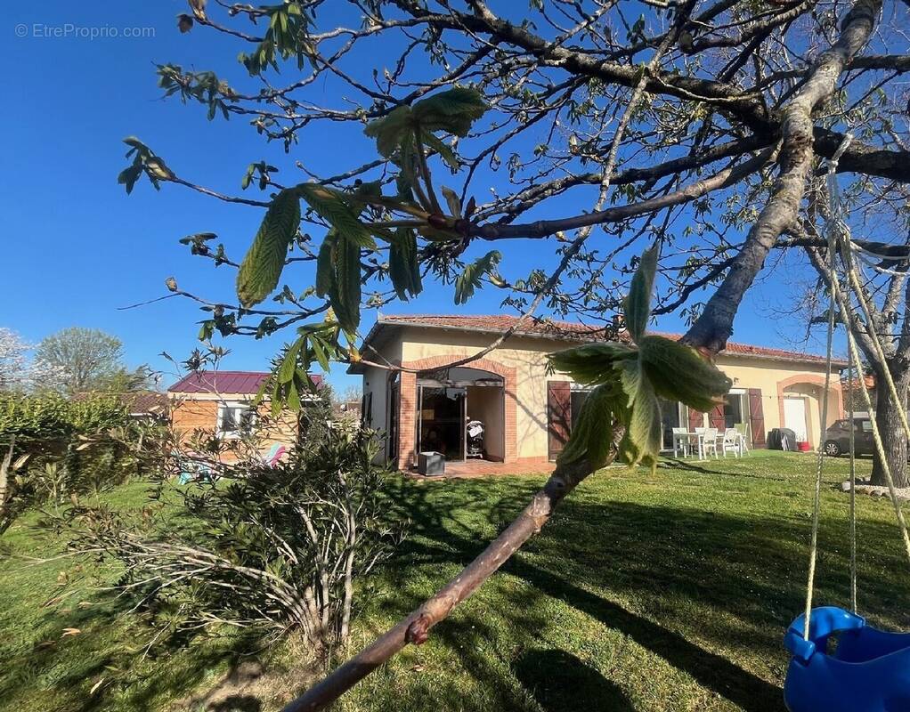 Maison à LA SALVETAT-SAINT-GILLES