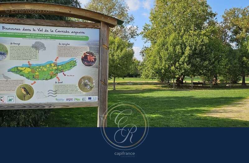 Maison à ROCHEFORT-SUR-LOIRE