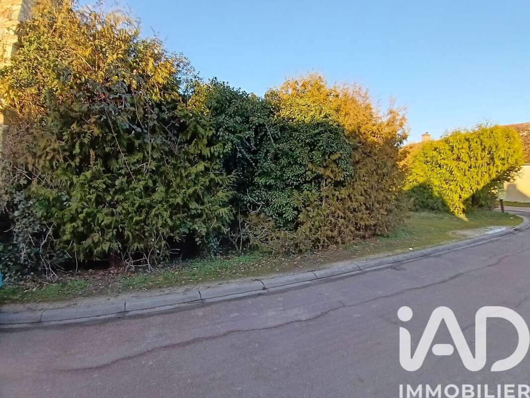 Photo 5 - Terrain à CHICHERY