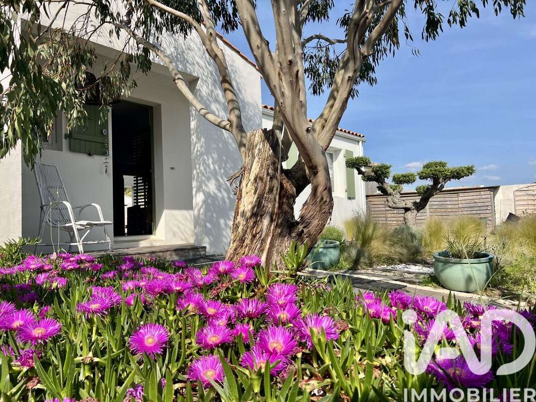 Photo 5 - Maison à SAINTE-MARIE-DE-RE