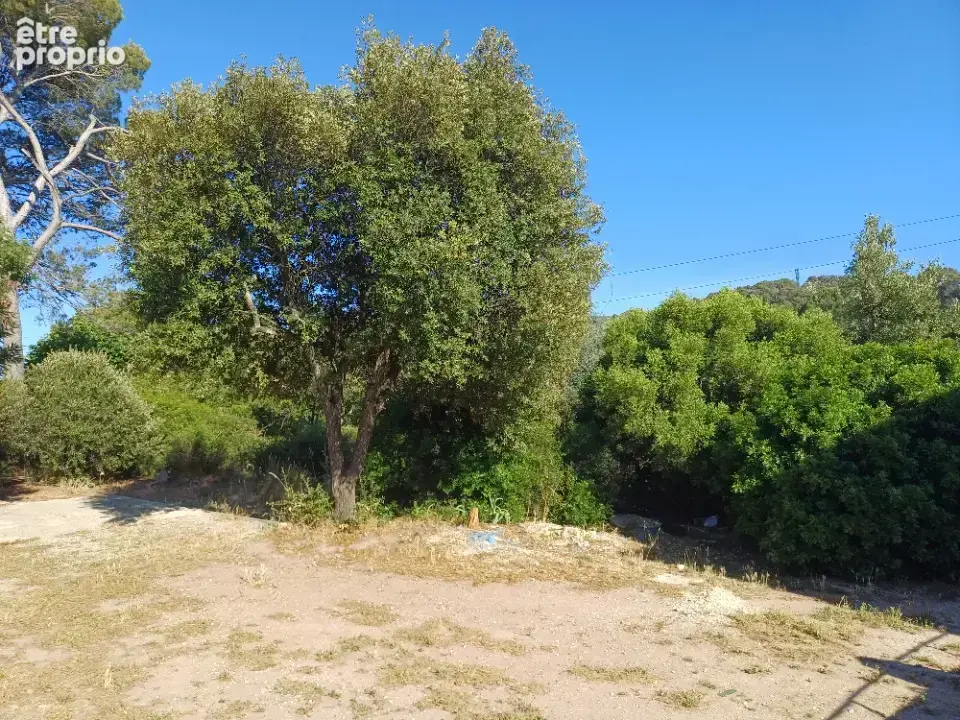 Terrain 428 m² à vendre à Pierrefeu-Du-Var (83390) - photo 3