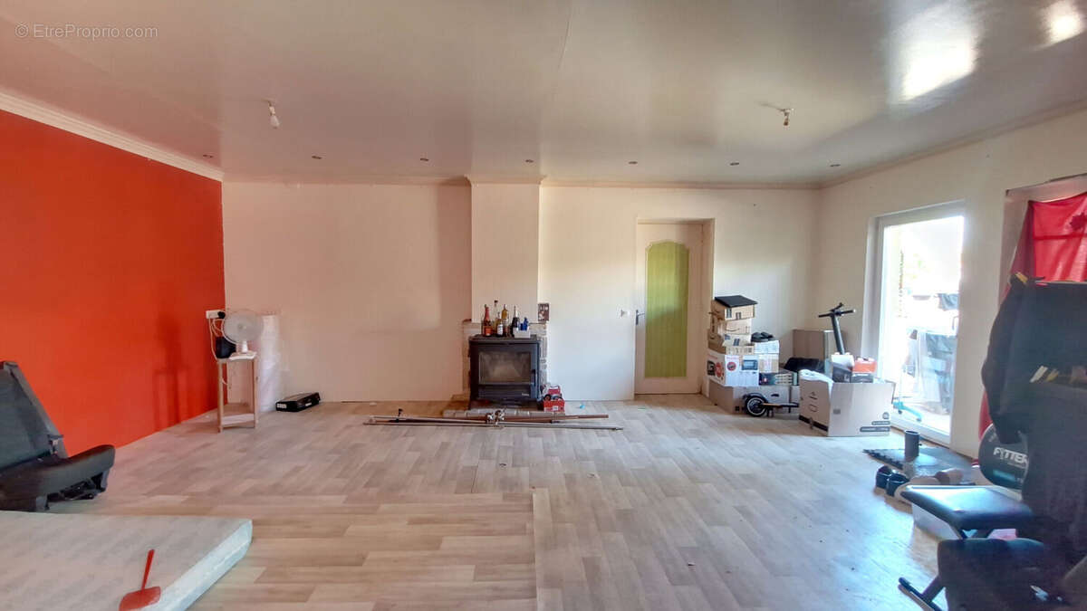 Maison 250 m² à Saillenard  - photo 3