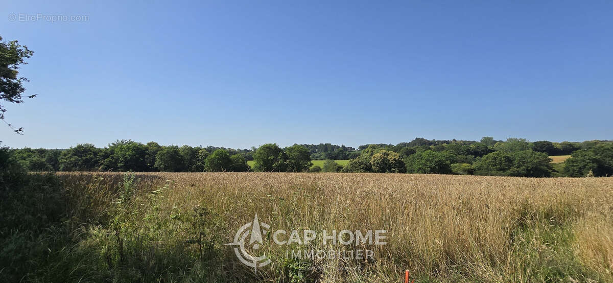 Charme et calme à la campagne ! - photo 14