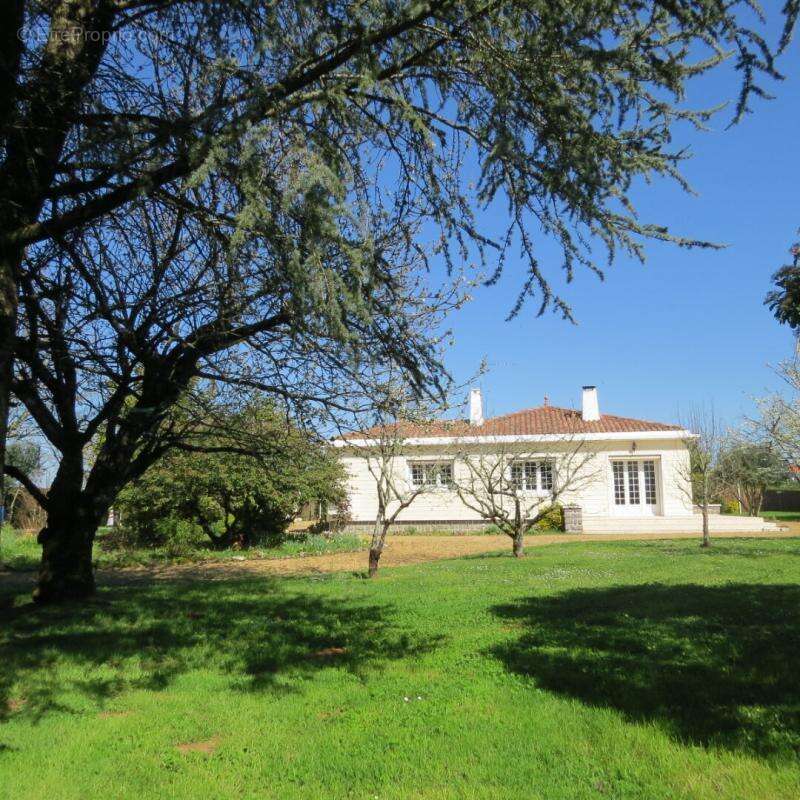 Maison à FONTENAY-LE-COMTE