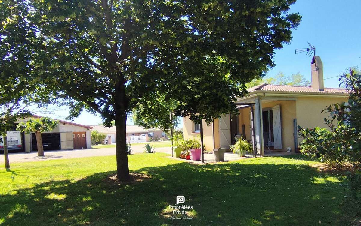 Maison Martres Tolosane 4 pièce(s) 110 m2 - photo 2
