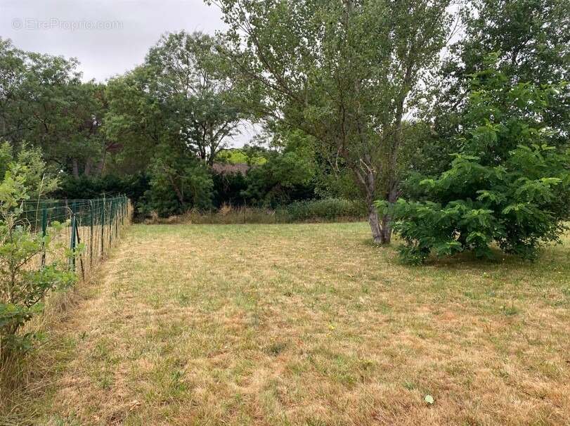 Terrain 760 m² à Negrepelisse  - photo 2