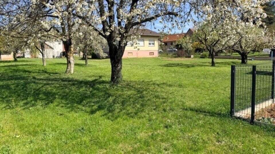 Terrain à OSENBACH