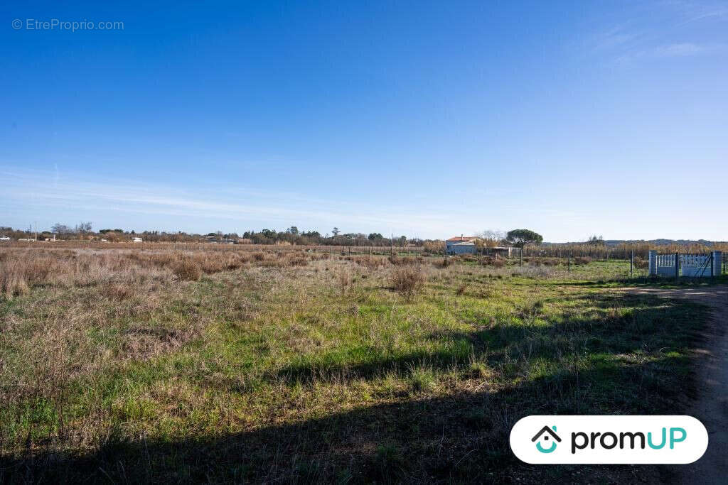 Terrain à PORTIRAGNES