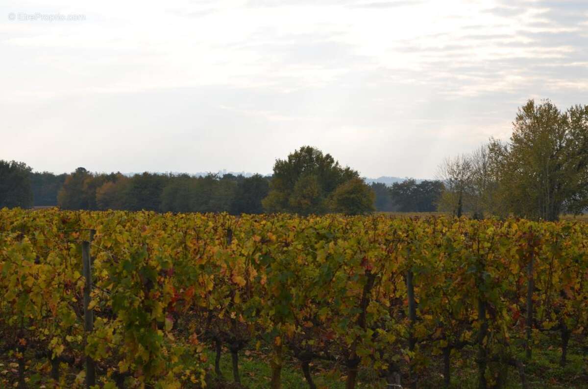 Commerce à SAINT-MARTIN-DU-BOIS