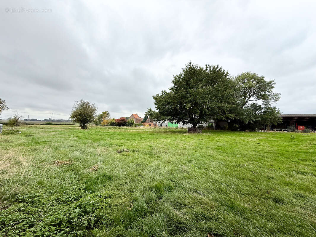 Maison à SAILLY-LEZ-LANNOY