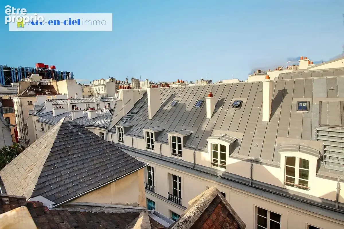 Coeur du Marais Paris 4 dans Hotels Particuliers avec TERRASSE - photo 19