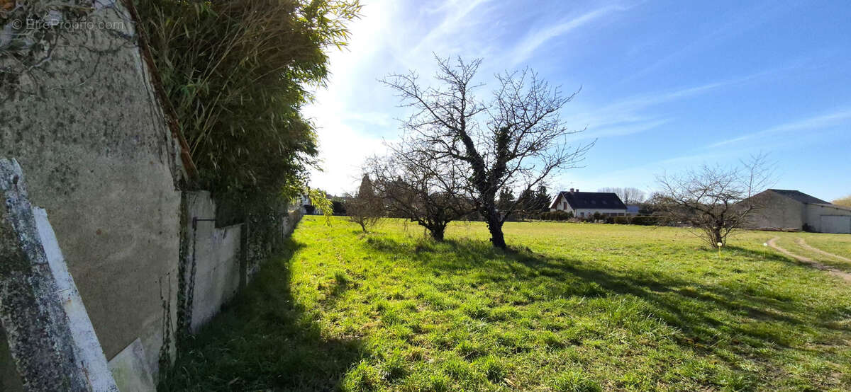 Terrain à LAILLY-EN-VAL