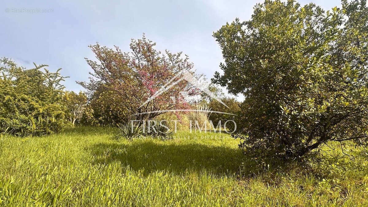 Terrain libre constructeur - 466 m² à Velaux - photo 2