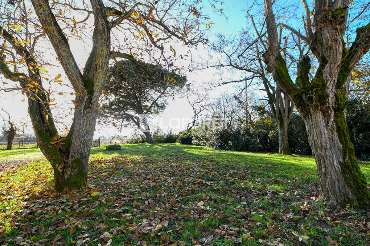 Maison à LISLE-SUR-TARN