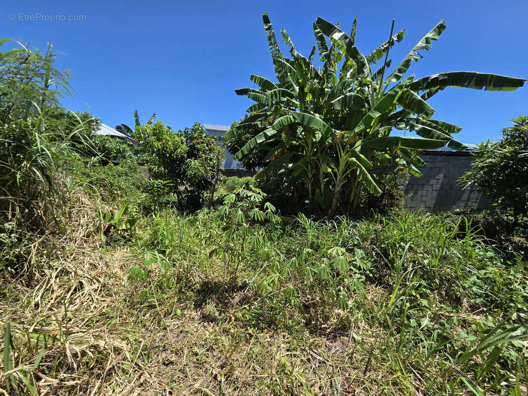 Photo 2 - Terrain à SAINT-ANDRE