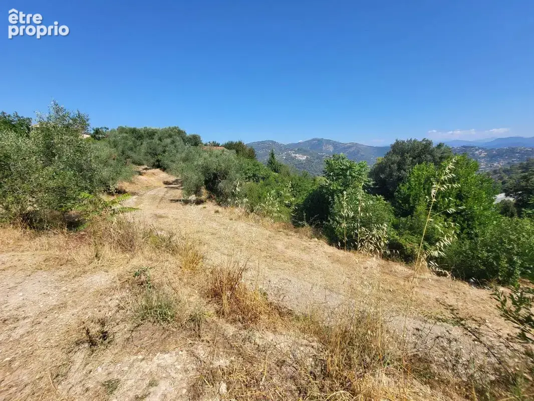 Terrain 3 964 m² à vendre à La Trinite (06340) - photo 6